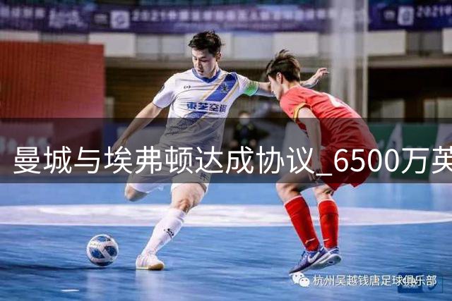 曼城与埃弗顿达成协议 6500万英镑引进恩迪亚耶