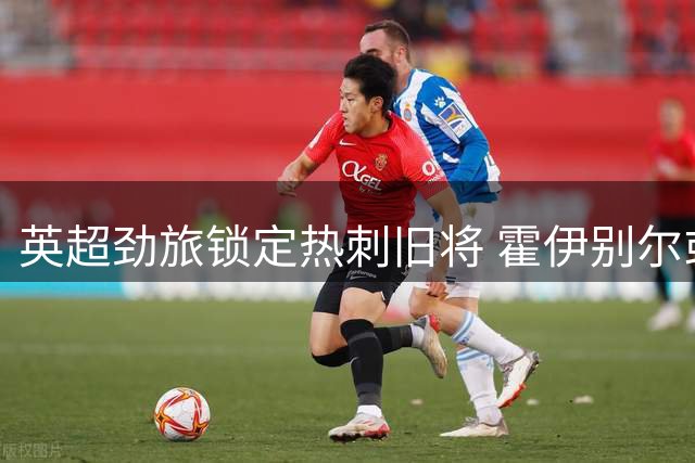 英超劲旅锁定热刺旧将 霍伊别尔或成纽卡中场新核
