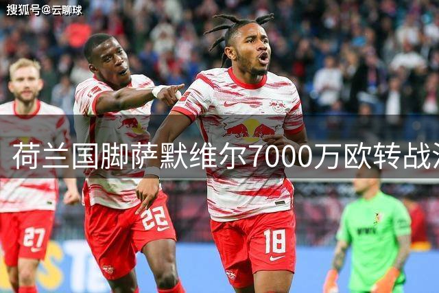 荷兰国脚萨默维尔7000万欧转战沙特 利雅得新月完成今夏重磅引援