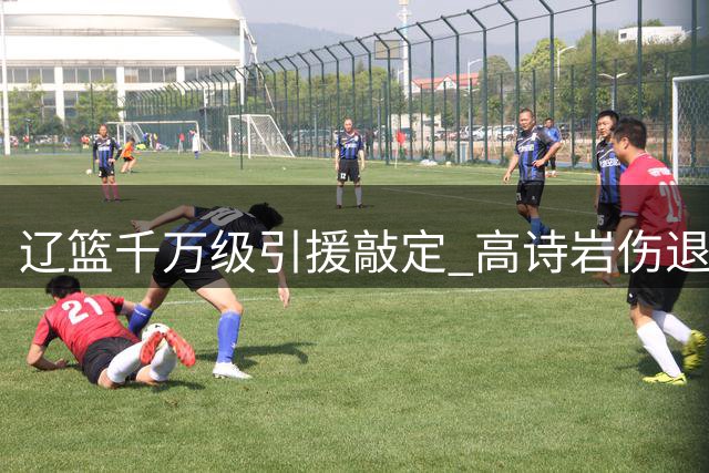 辽篮千万级引援敲定 高诗岩伤退国家队 北京双线运作引关注