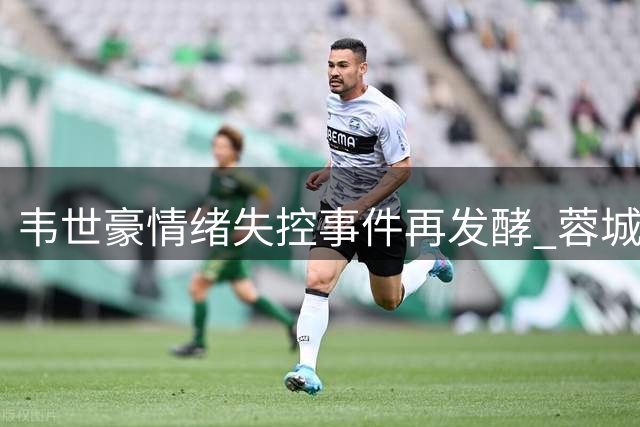 韦世豪情绪失控事件再发酵 蓉城队长为何屡陷争议漩涡